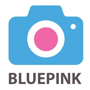 Bluepink Print